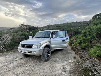 Wycieczka z Limassol do wąwozu Avakas Kanyon Mini Marathon